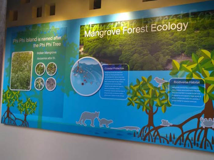 Phi Phi Island's mangrove information zone